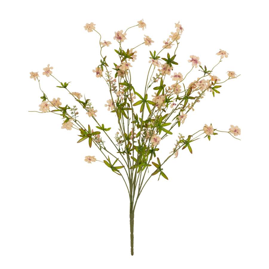 Pentas Stem