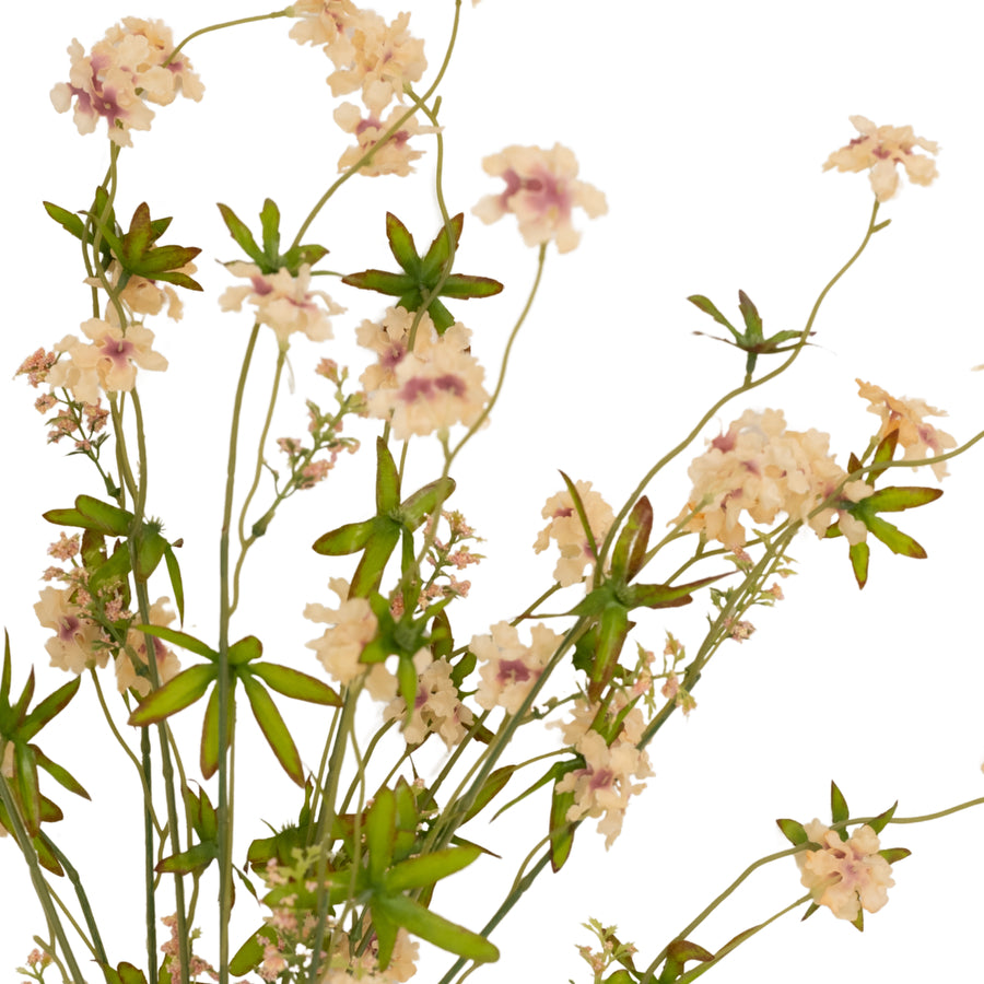 Pentas Stem