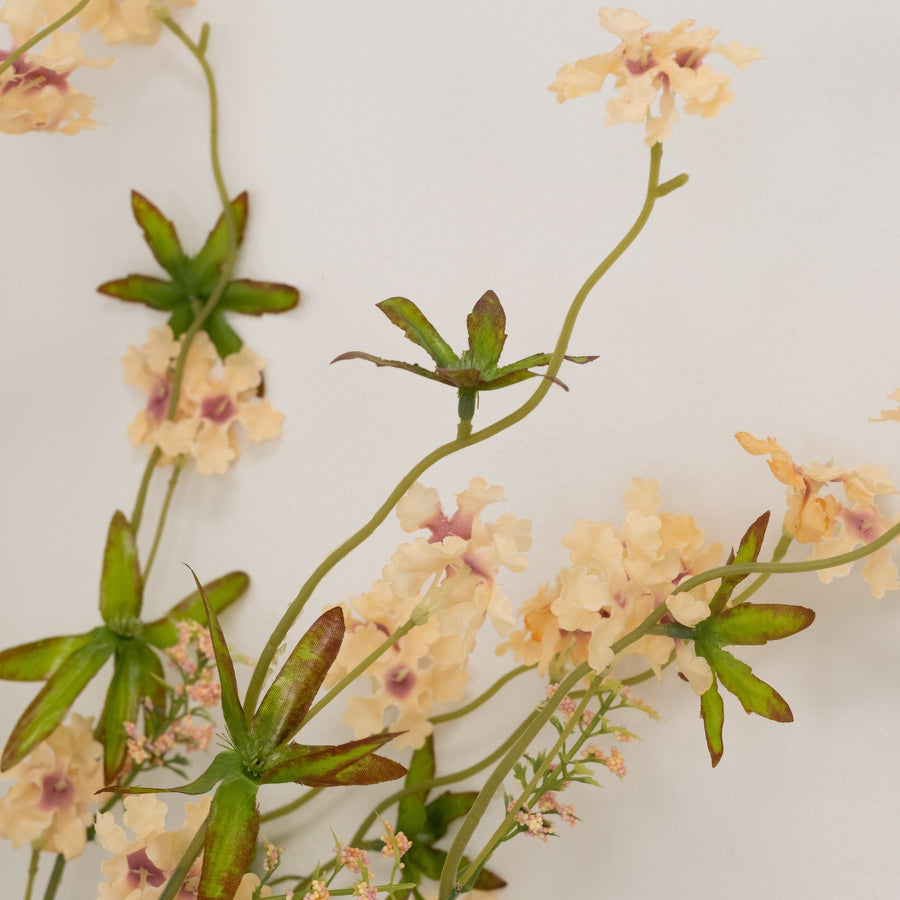 Pentas Stem