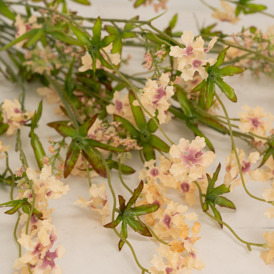 Pentas Stem