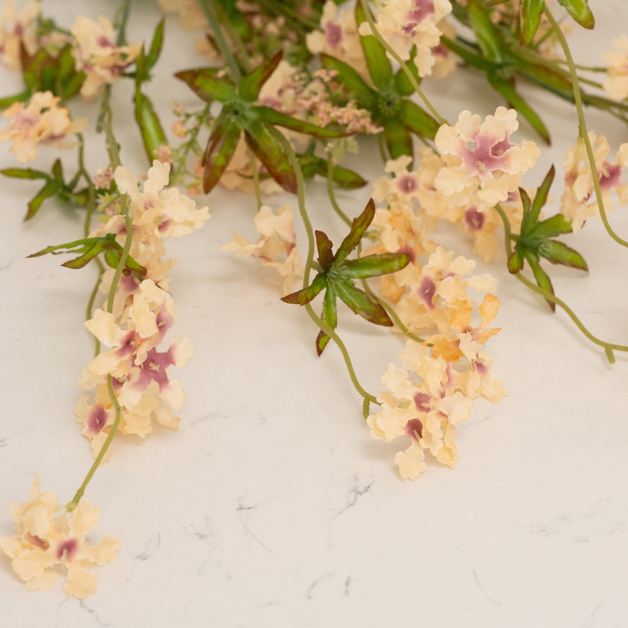 Pentas Stem