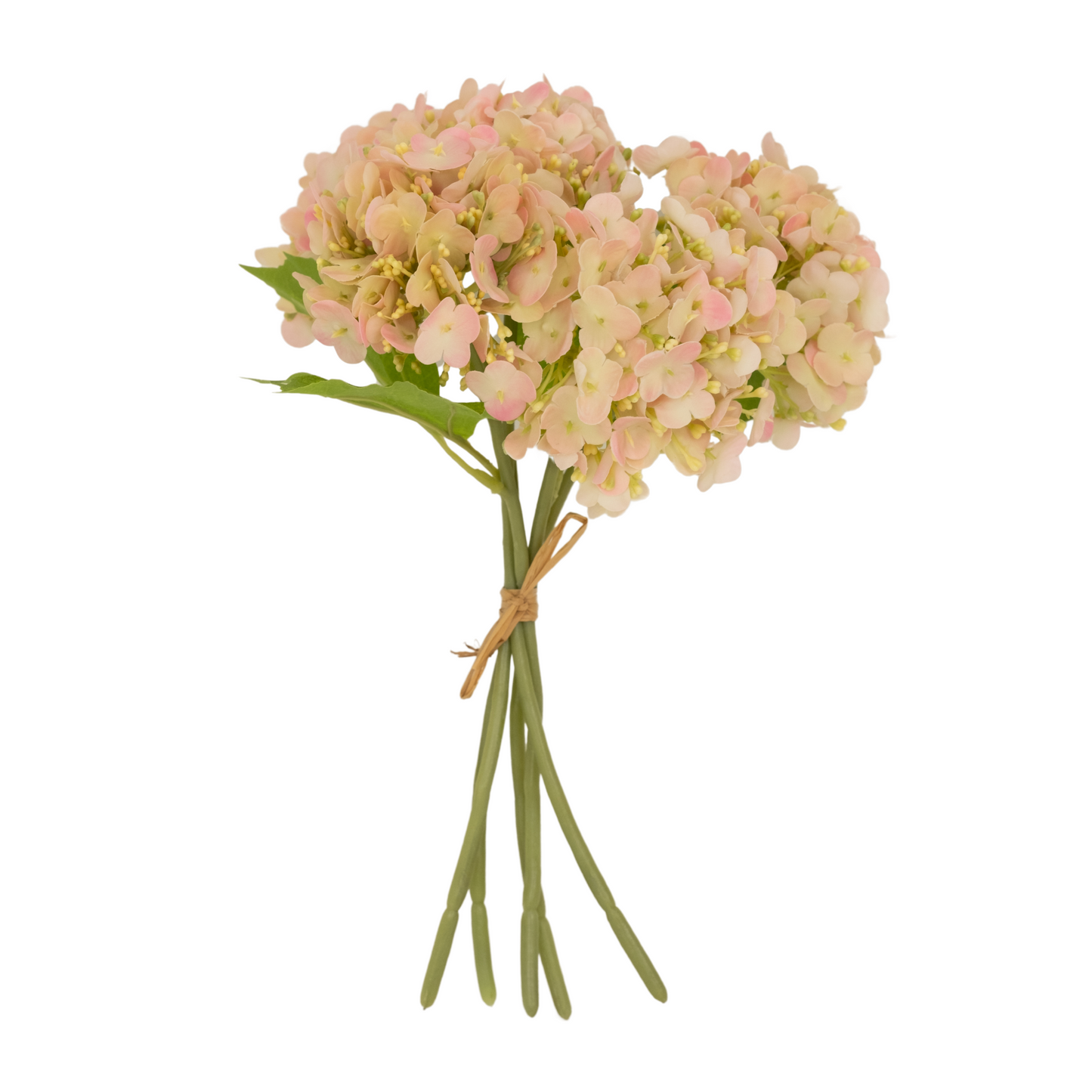 Pink Hydrangea Bundle