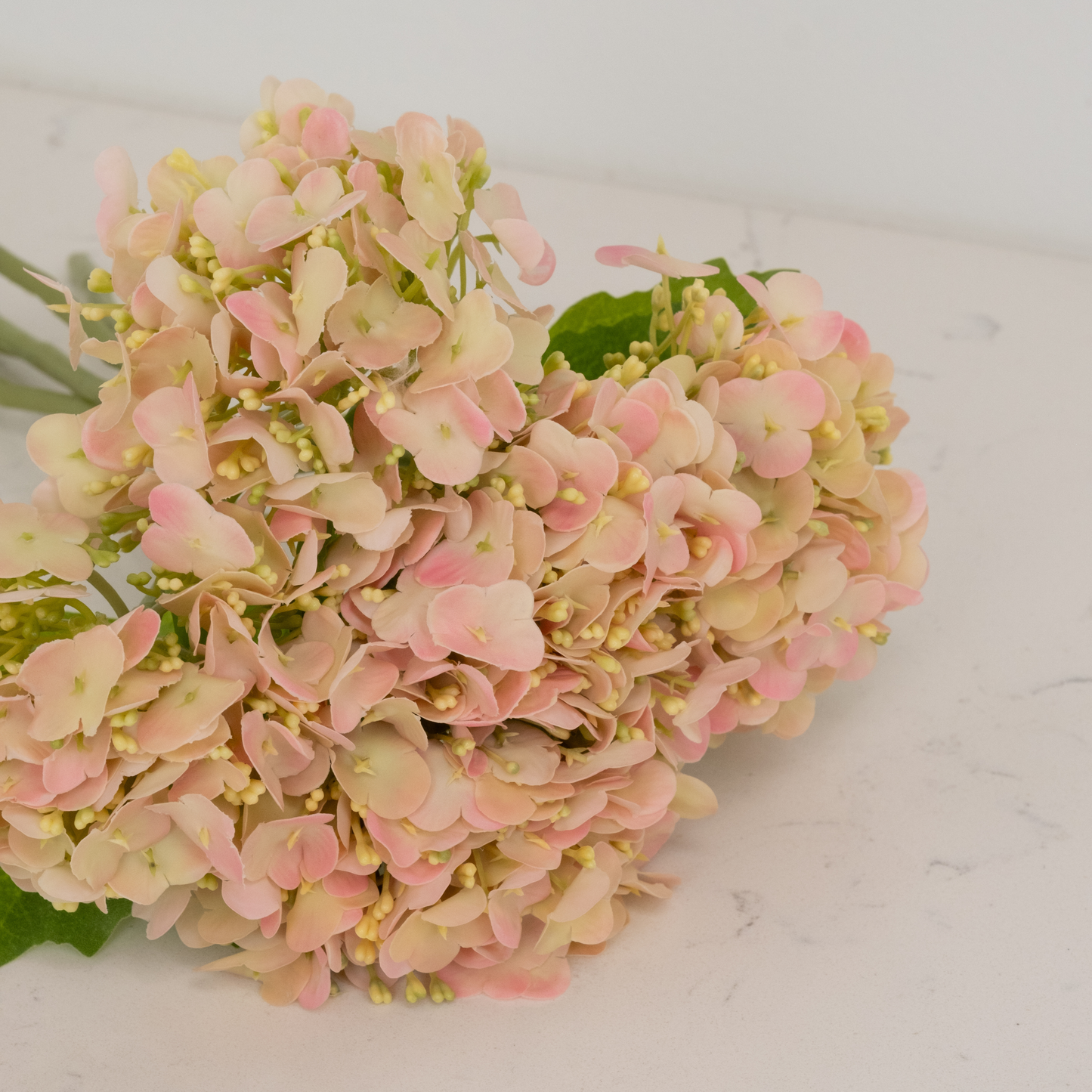 Pink Hydrangea Bundle