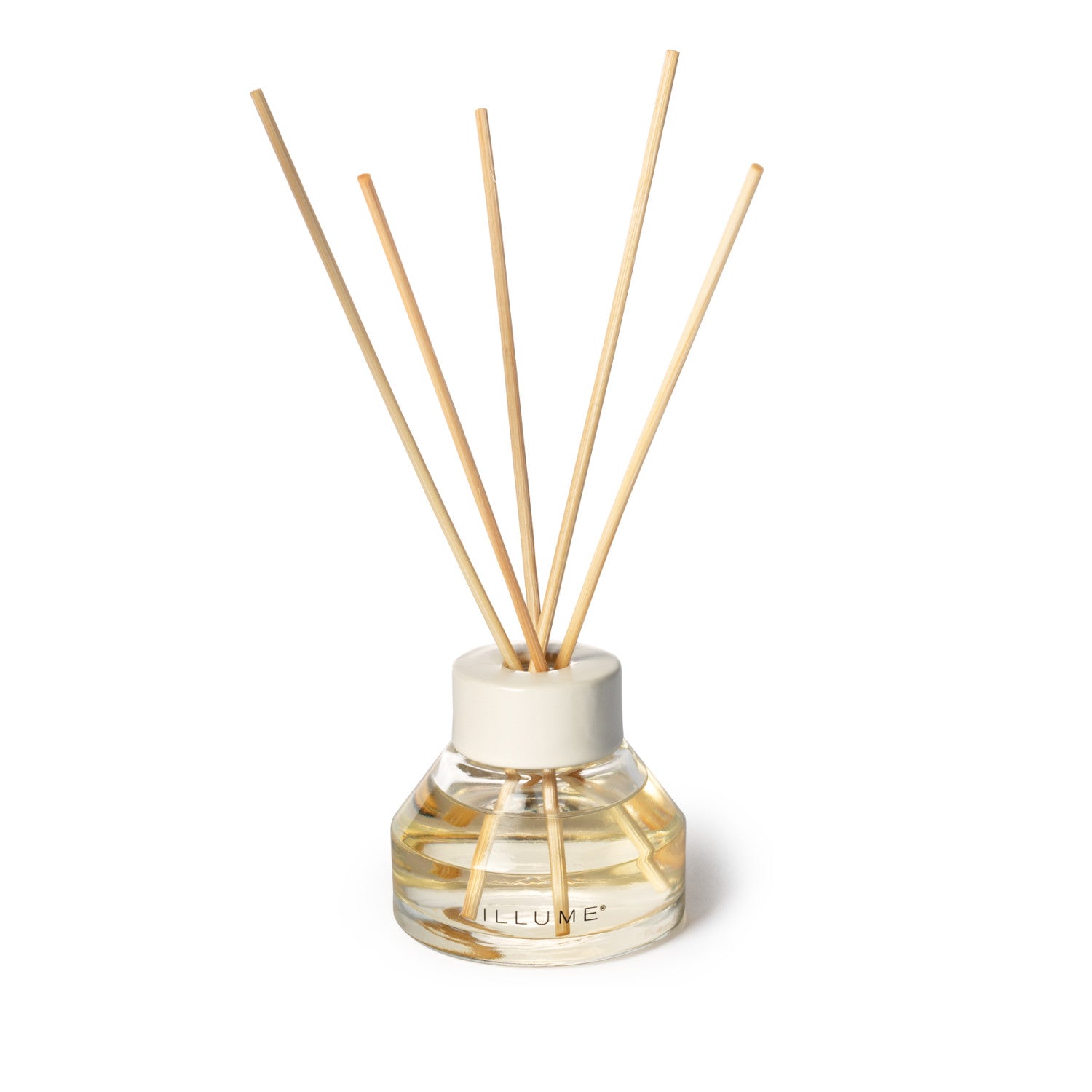 Blackberry Absinthe Fragrance Oil Diffuser and Reeds in Jar with White Collar