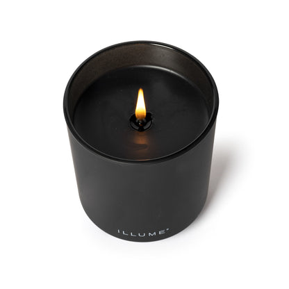 Blackberry Absinthe | Essential Collection Candle