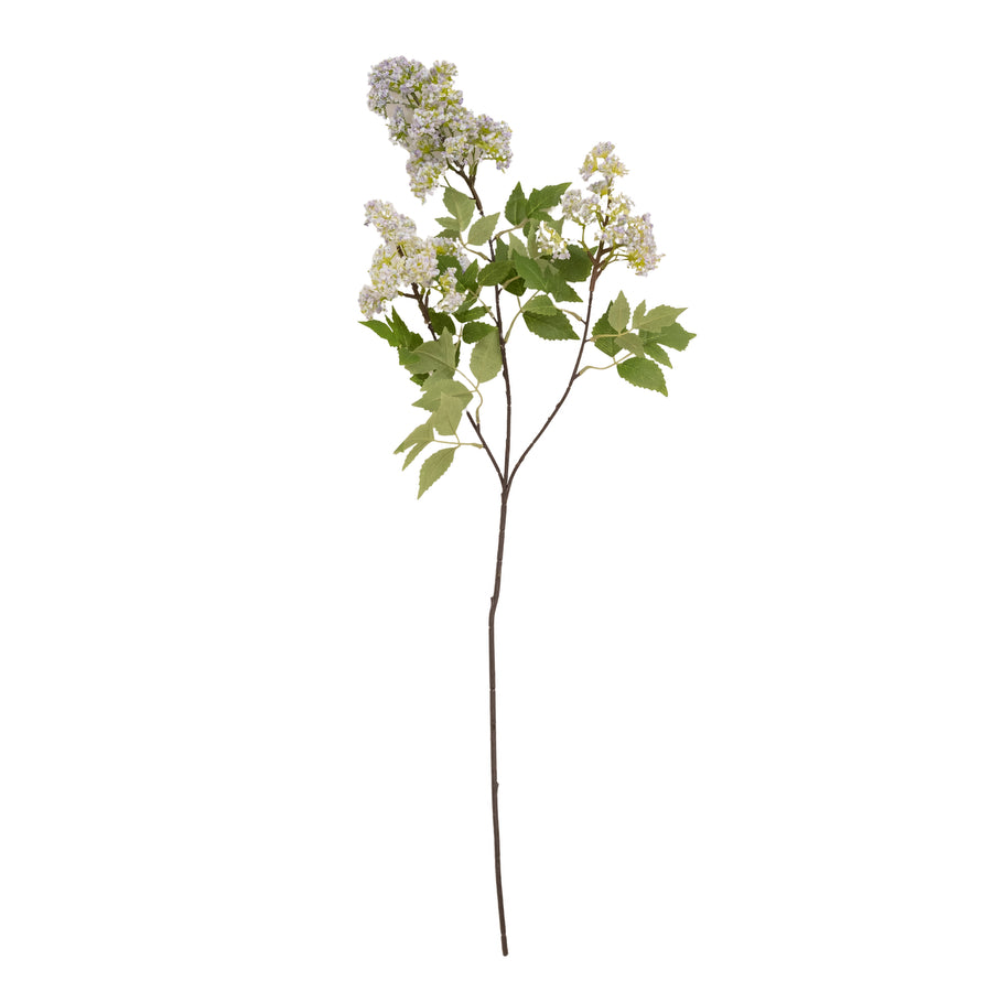 Primavera Stem