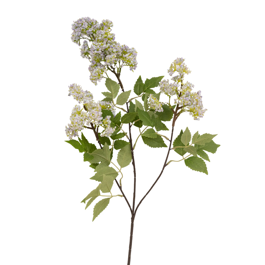 Primavera Stem