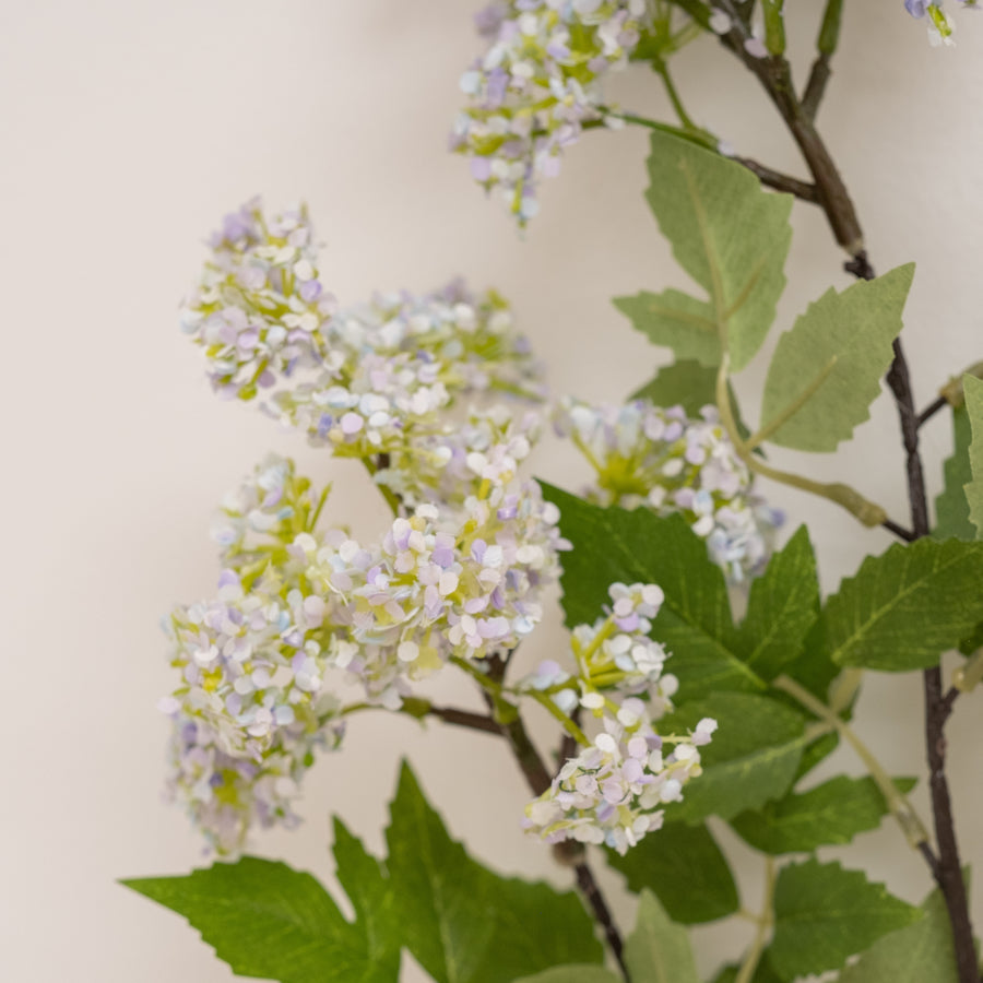 Primavera Stem