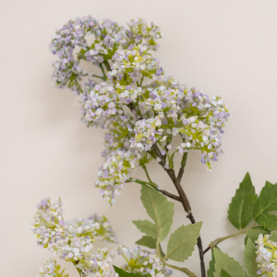 Primavera Stem