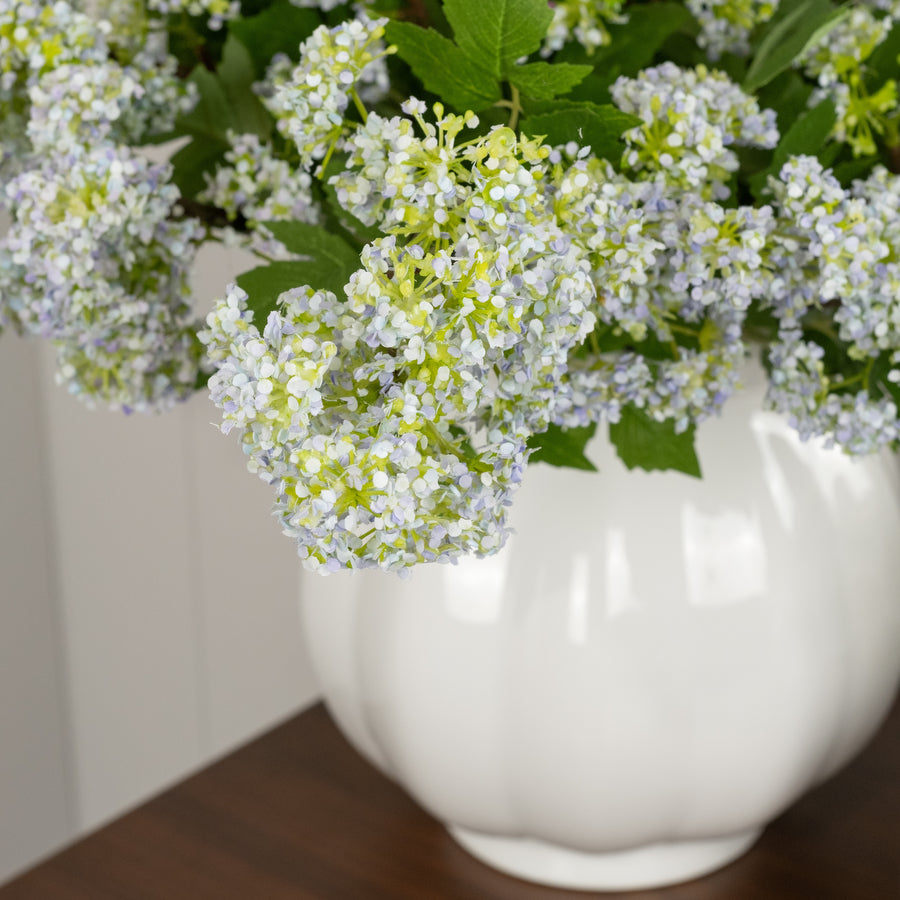 Primavera Stem