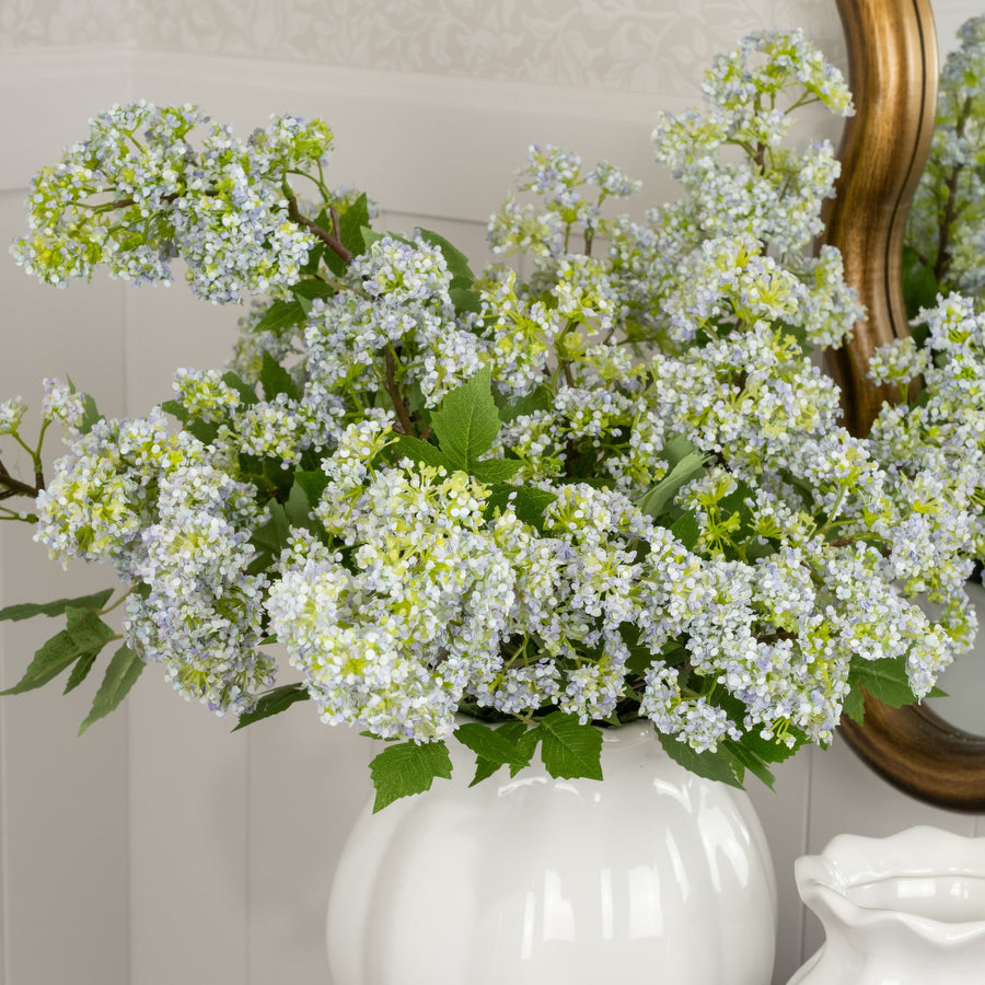 Primavera Stem