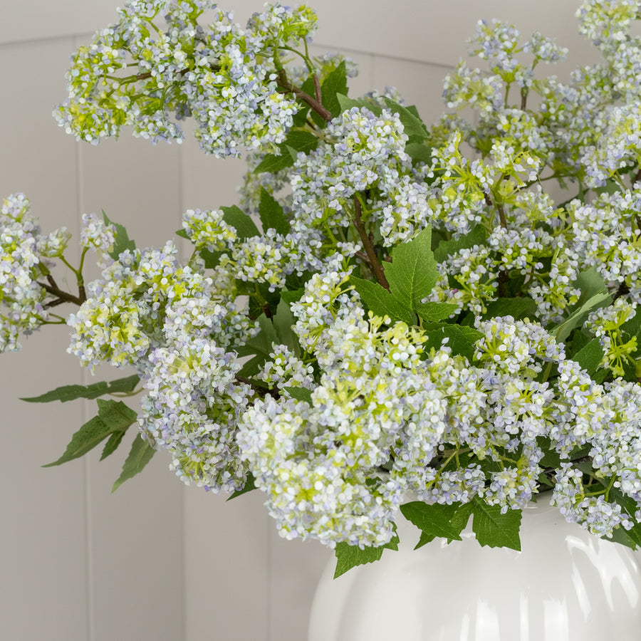 Primavera Stem