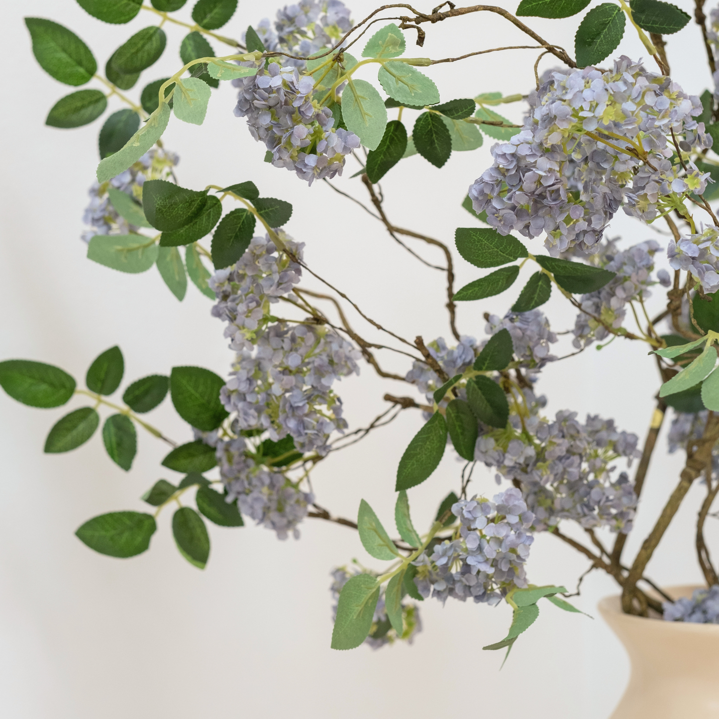 Evolet Branch