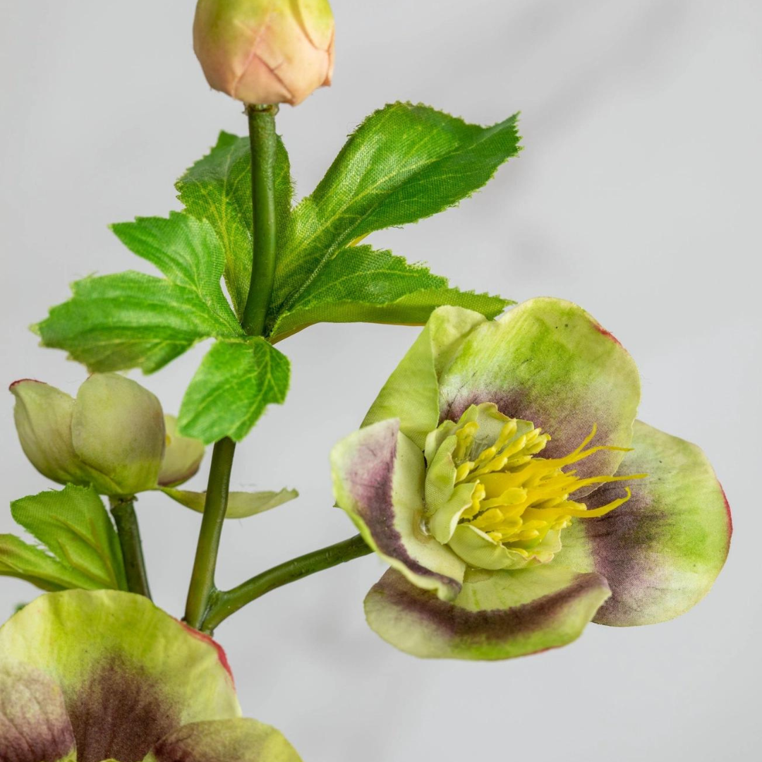 Vibrant Green and Mauve Lenten Rose Faux Floral Stem Close Up
