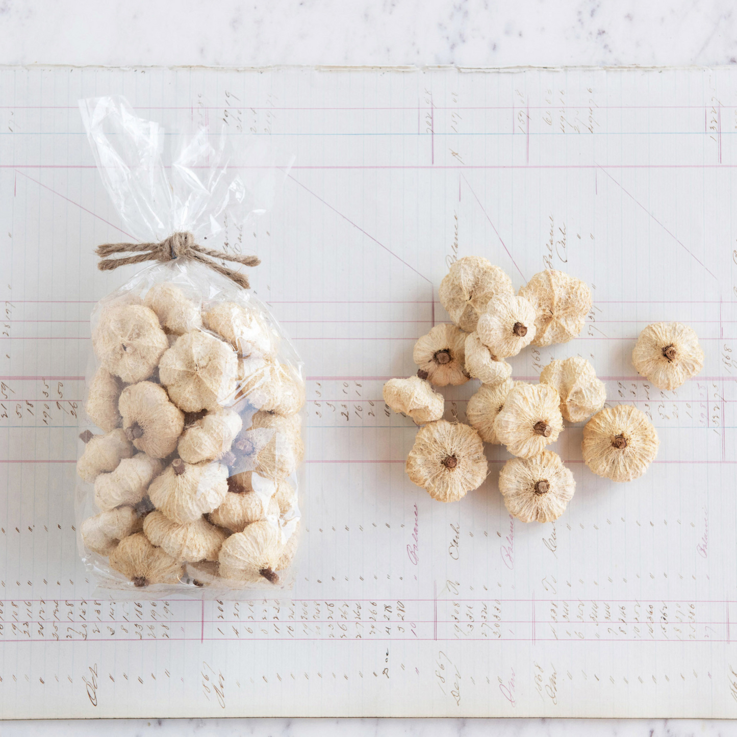 Dried Natural Pod Pumpkins