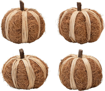 Coco Fiber Pumpkin