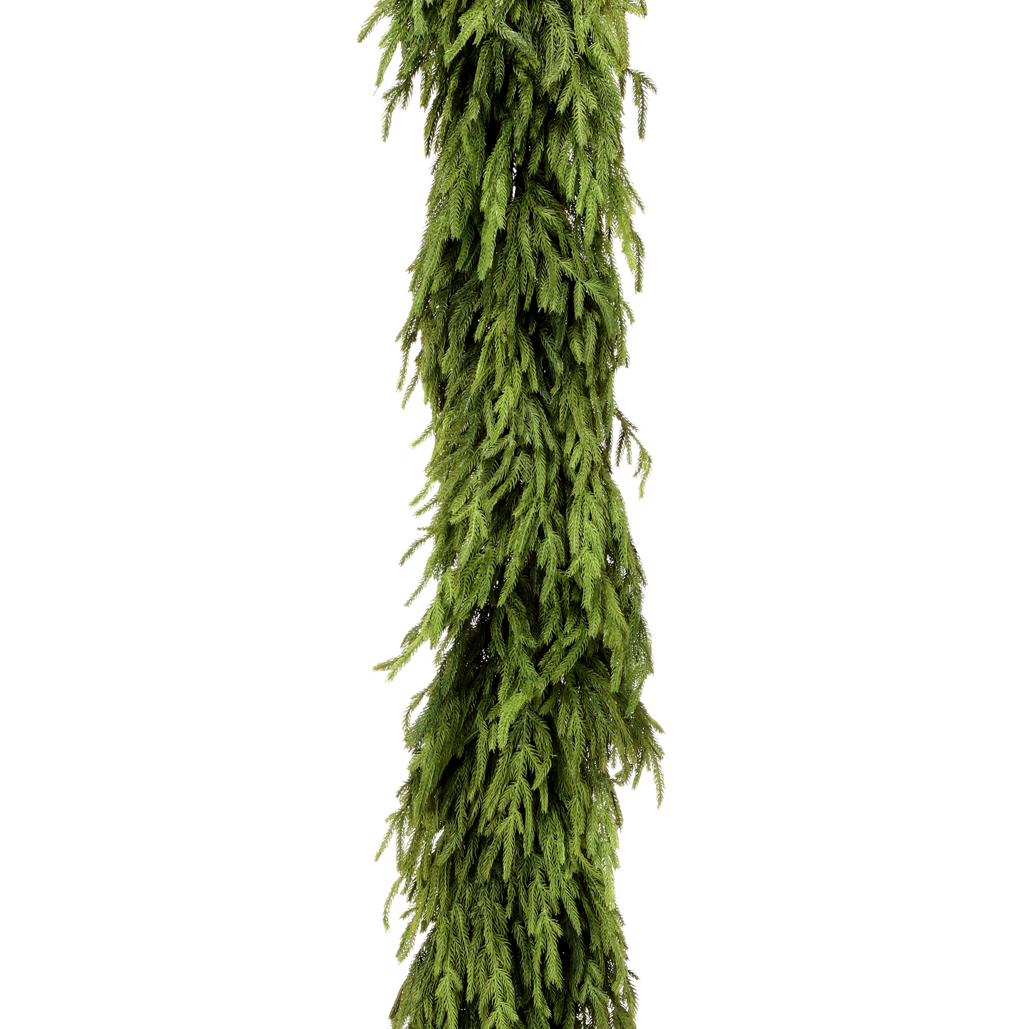 6’ Norfolk Pine Garland