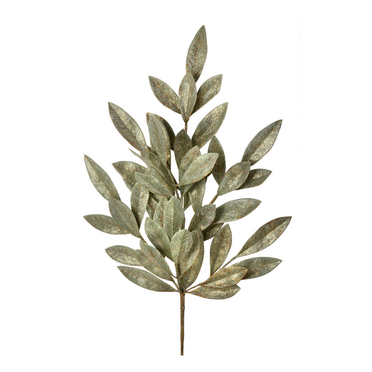 Golden Sage Bay Leaf Spray