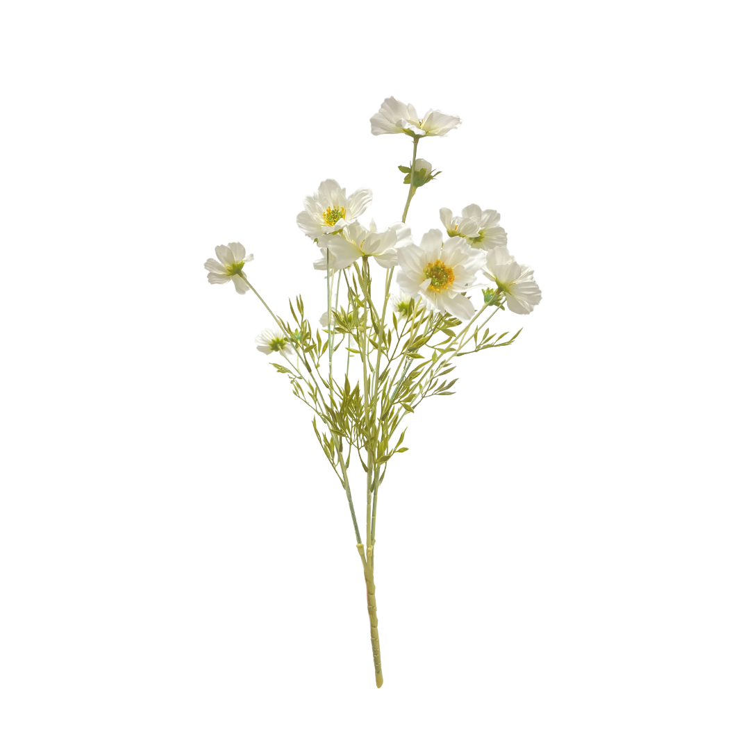 White Cosmos Stem