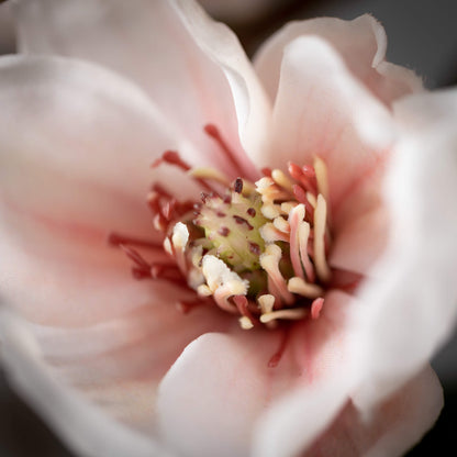 Pink Faux Floral Spring Magnolia Stem