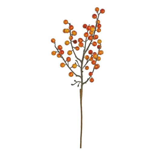 Fall Hawthorn Berry Stem