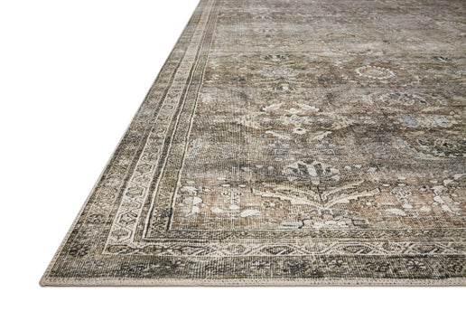 Low View of Earth Tone Low Pile Raena Rug