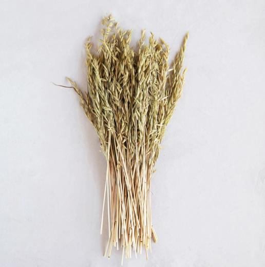 Dried Avana Grass Bundle