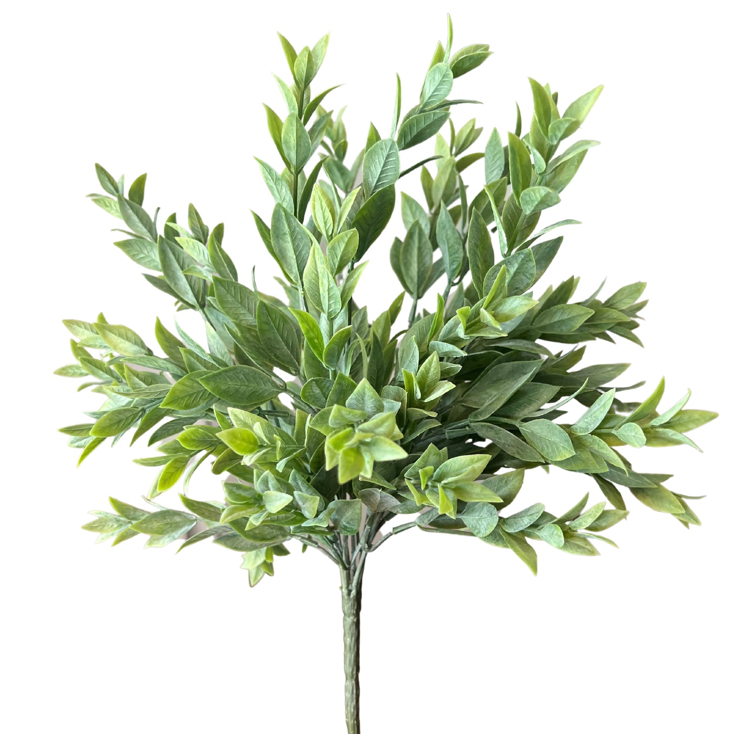 15" Ruscus Bundle